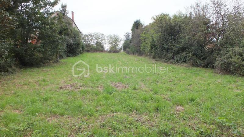 Terrain constructible - 1 234 m²