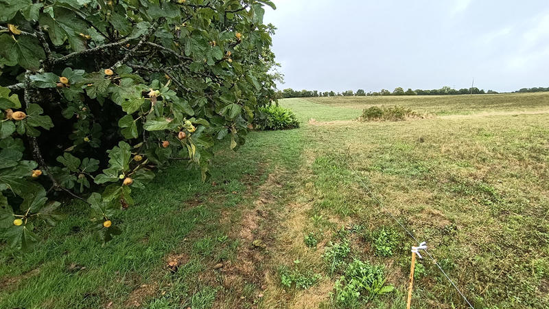 Maison - 35 m² - 3 pièces