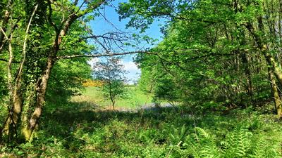 Terrain - 11 608 m²