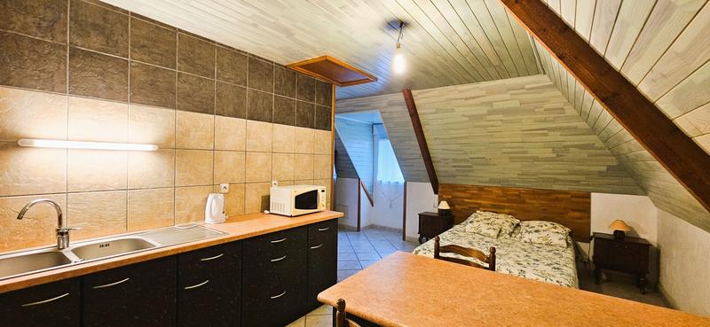 Maison - 230 m² - 8 pièces