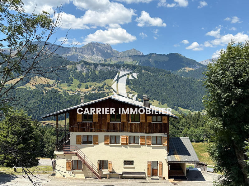 Châlet - 328 m² - 16 pièces