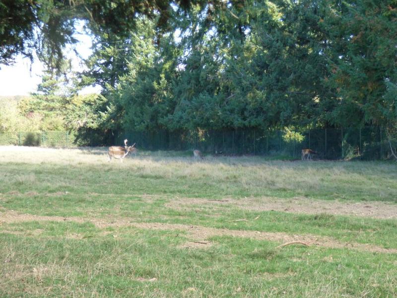 Maison - 330 m² - 8 pièces