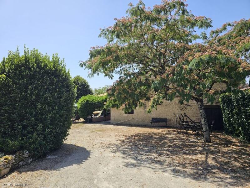 Maison en pierre - 140 m² - 9 pièces