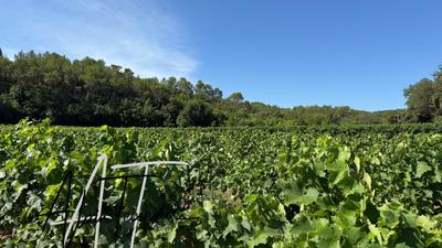 Terrain agricole - 33 300 m²