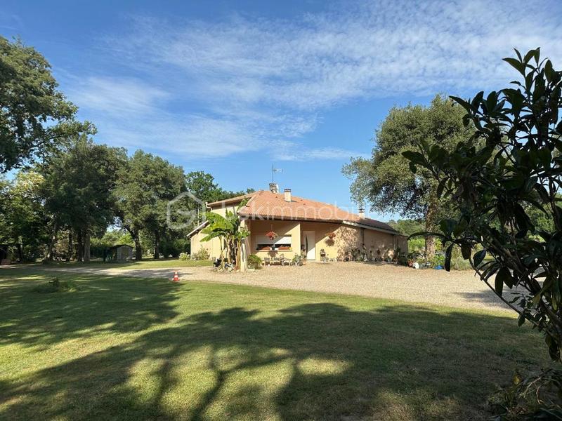 Maison - 187 m² - 6 pièces