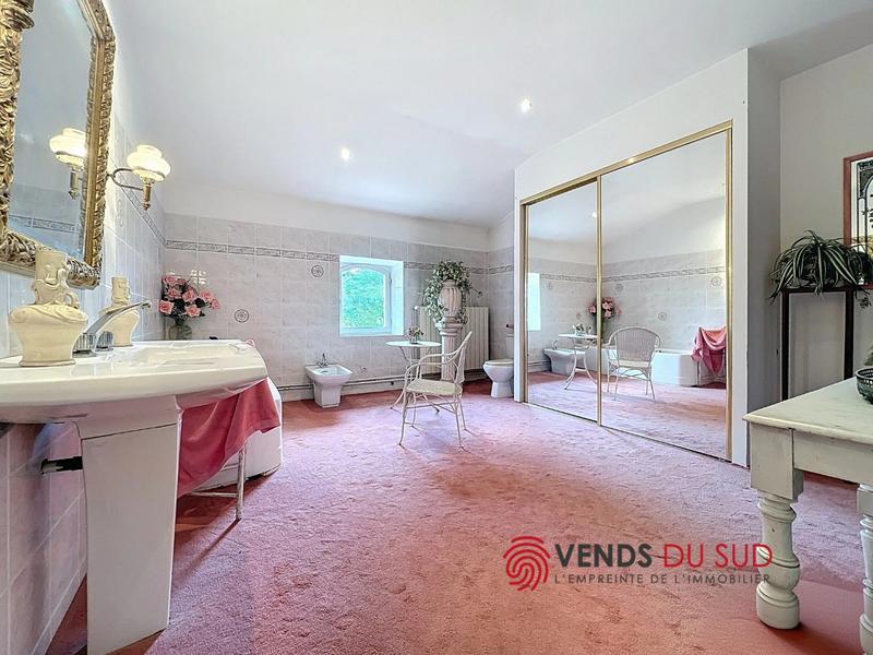 Viager - Demeure - 223 m² - 6 pièces