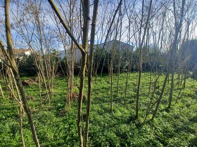 Terrain constructible - 1 707 m²