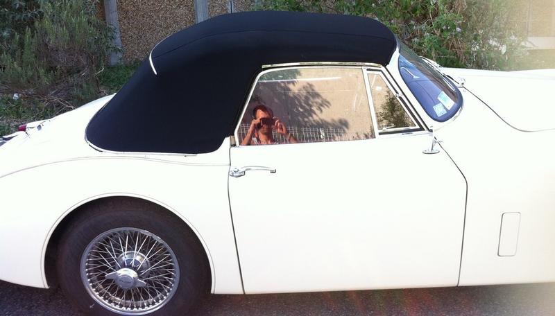 l'art de la sellerie