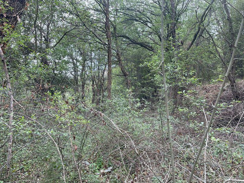 Terrain - 25 400 m²