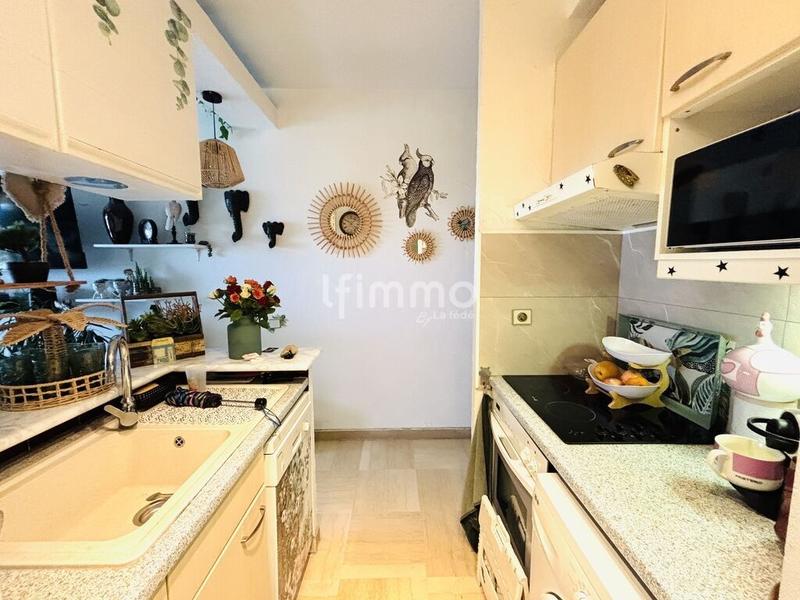 Studio - 30 m² - 1 pièce