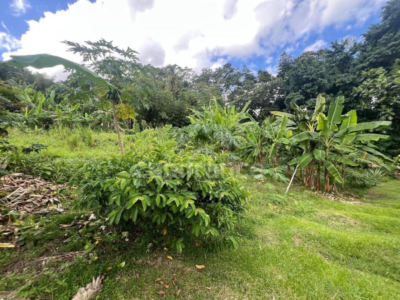 Maison - 36 m² - 2 pièces