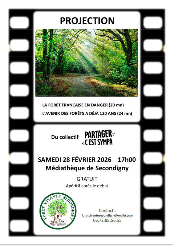 La forêt en projection