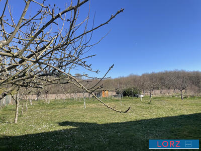 Maison traditionnelle - 127 m² - 7 pièces