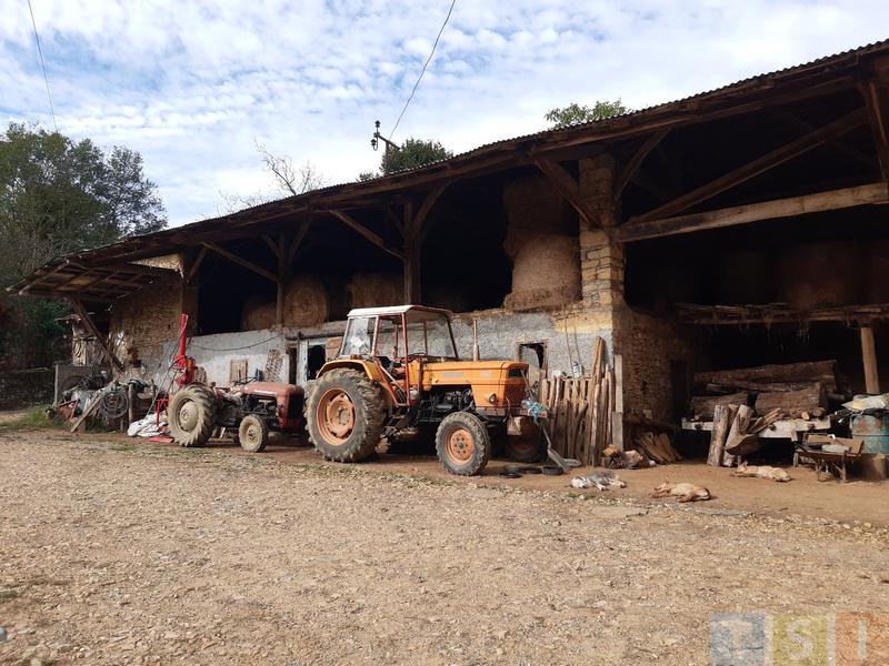 Propriété viticole - 220 m² - 8 pièces