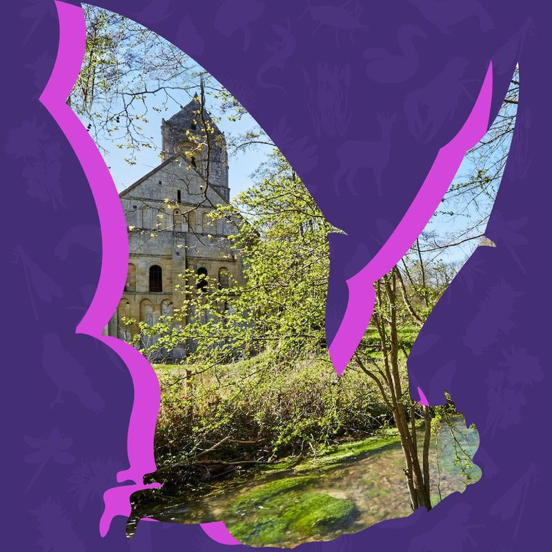 Quand la nuit tombe sur la vallée... (dans le cadre de la nuit de la Chauve-souris)