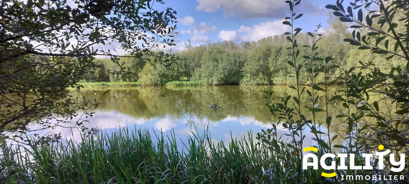 Terrain de loisirs - 9 784 m²