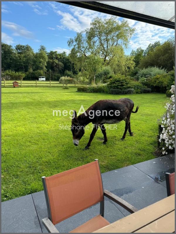 Maison de campagne - 265 m² - 8 pièces