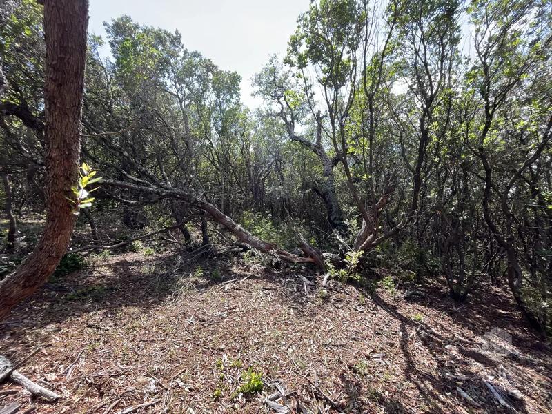 Terrain - 25 956 m²