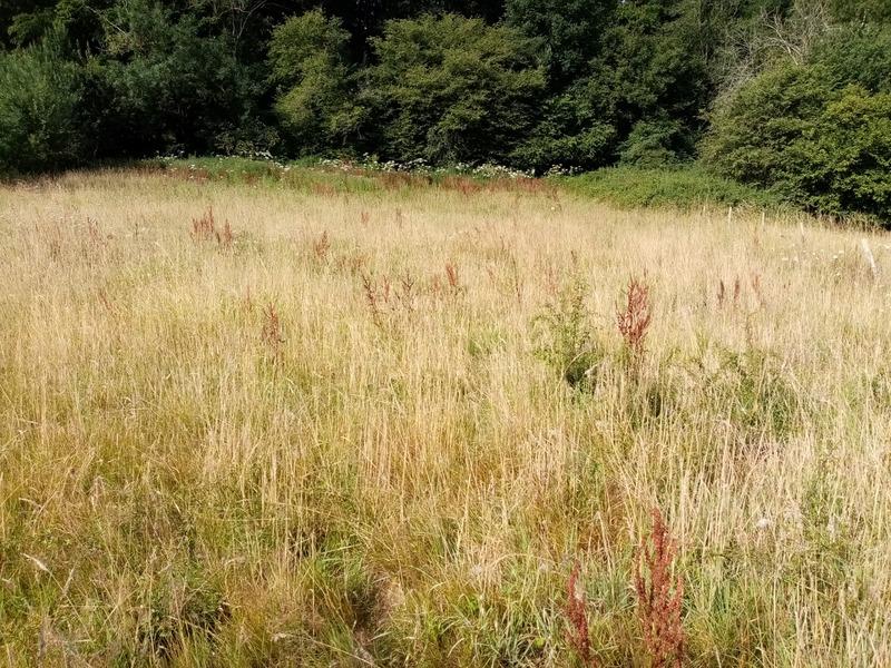 Terrain constructible - 1 200 m²