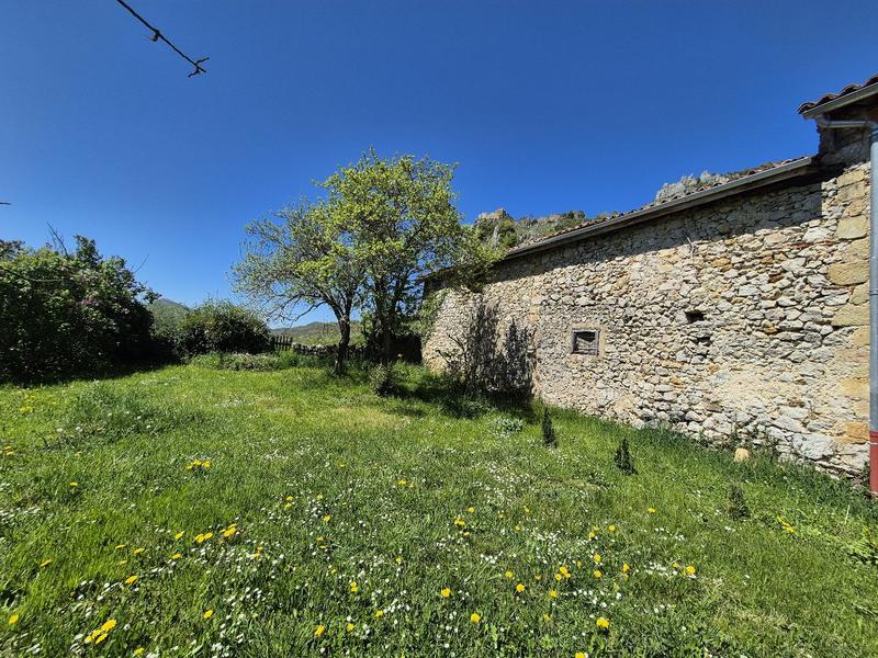 Maison ancienne - 380 m² - 8 pièces