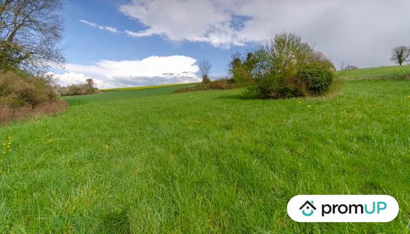 Terrain - 16 000 m²