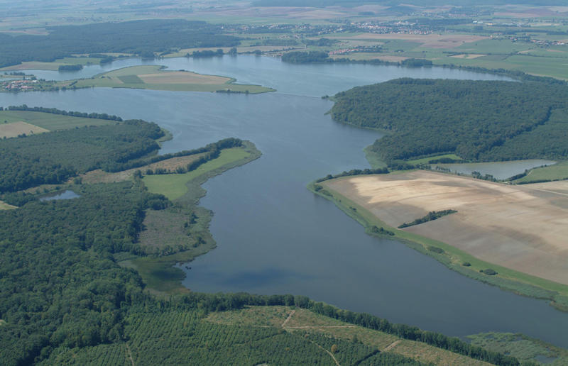 Stage - Dans l'intimité des oiseaux