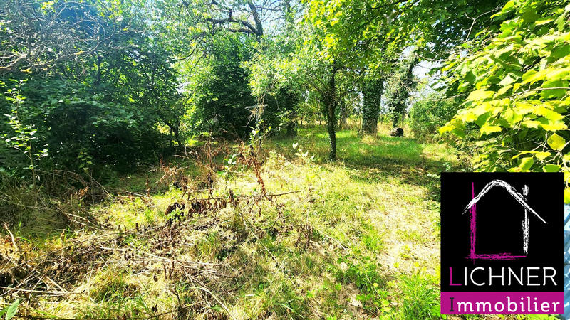 Maison - 118 m² - 6 pièces