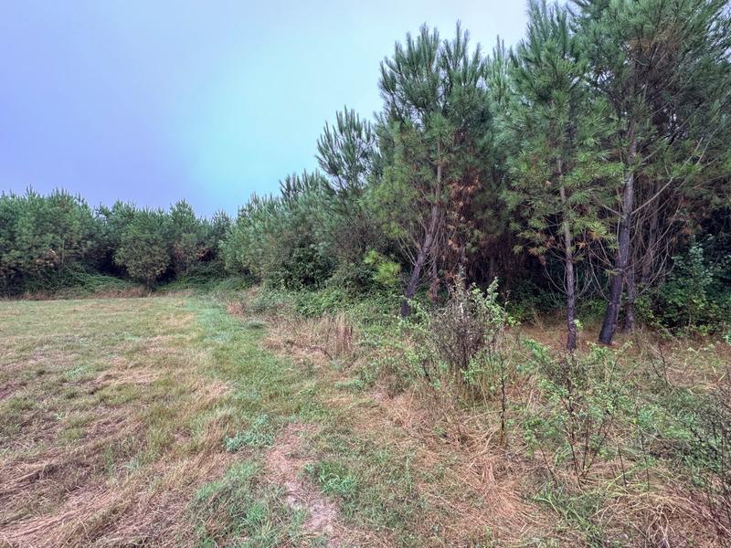 Terrain - 159 203 m²