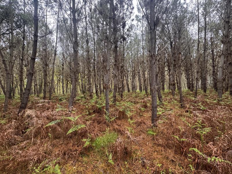 Terrain - 48 400 m²