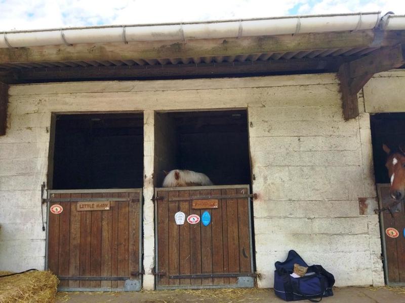 Maison de domaine équestre - 1 m²