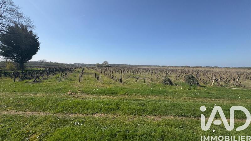 Ferme - 679 m² - 7 pièces