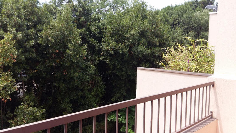 Appartement - 19 m² - 1 pièce