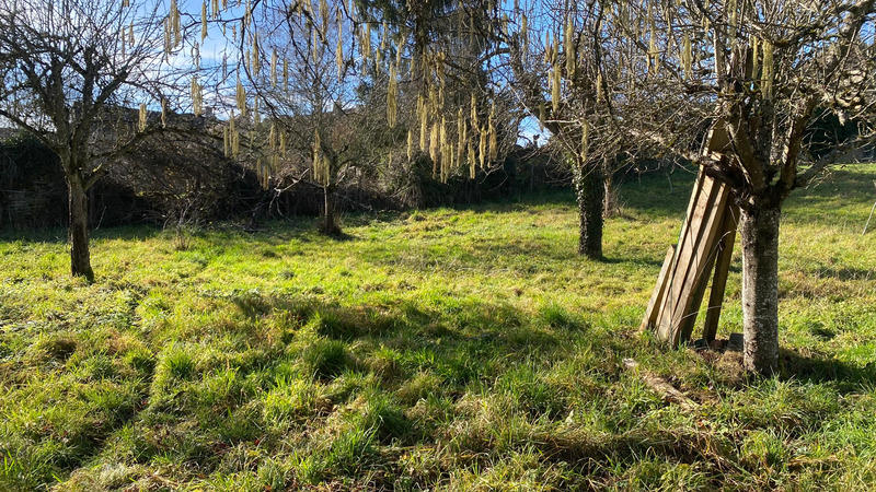 Terrain constructible - 1 228 m²