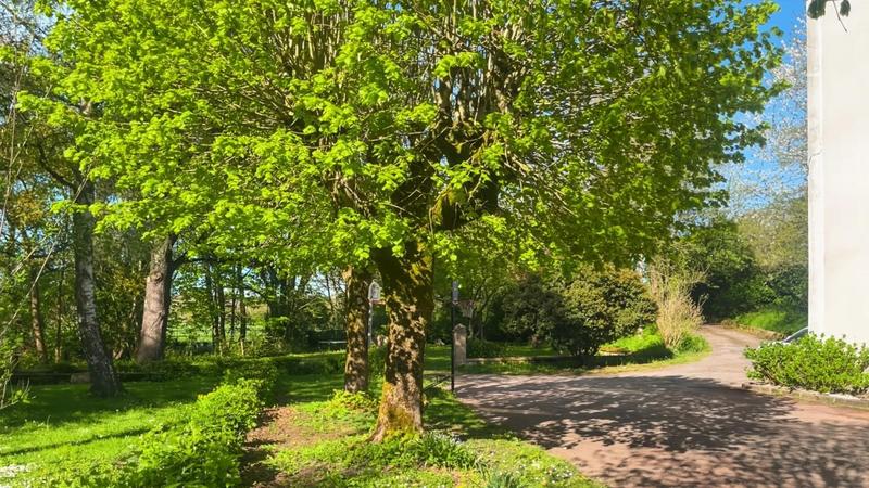 Maison bourgeoise - 230 m² - 9 pièces