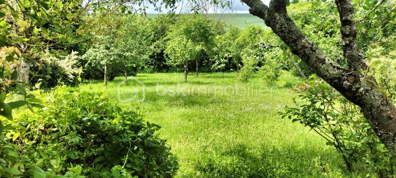 Maison de maîtres - 160 m² - 6 pièces