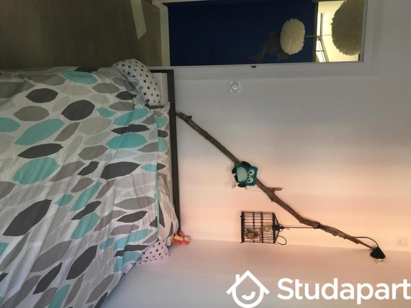 Chambre - 17 m² - 1 pièce