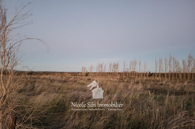 Terrain agricole - 12 550 m²