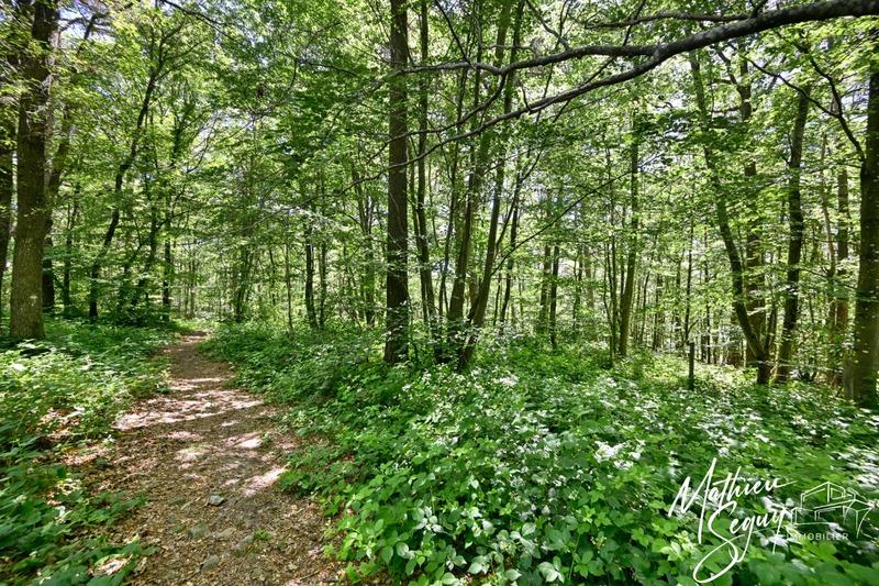 Terrain constructible - 810 m²