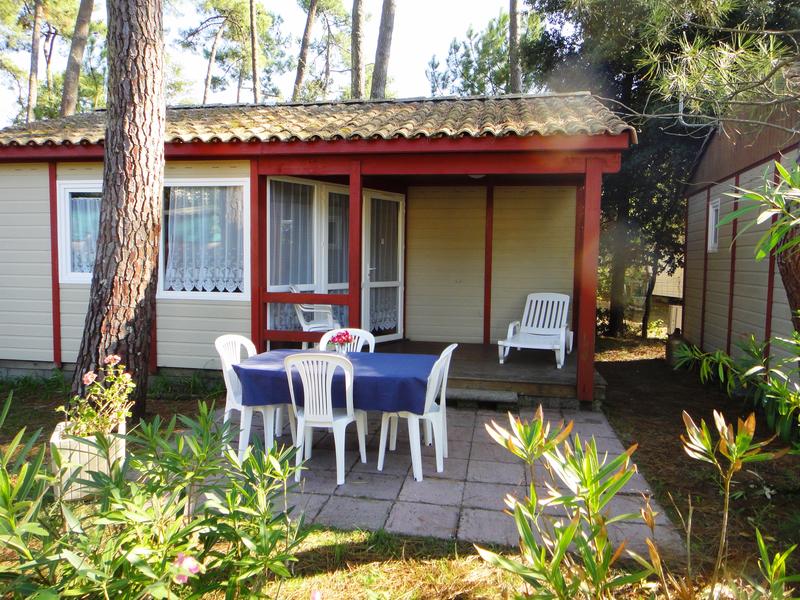 Activ' Loisirs les Pins