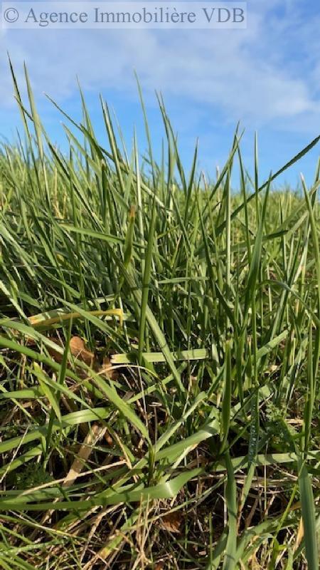 Terrain constructible - 1 895 m²