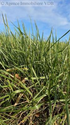 Terrain constructible - 1 895 m²