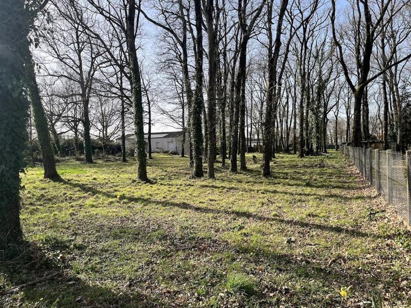 Terrain constructible - 1 417 m²