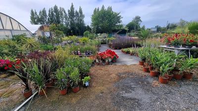 Fonds de commerce - 1 780 m²