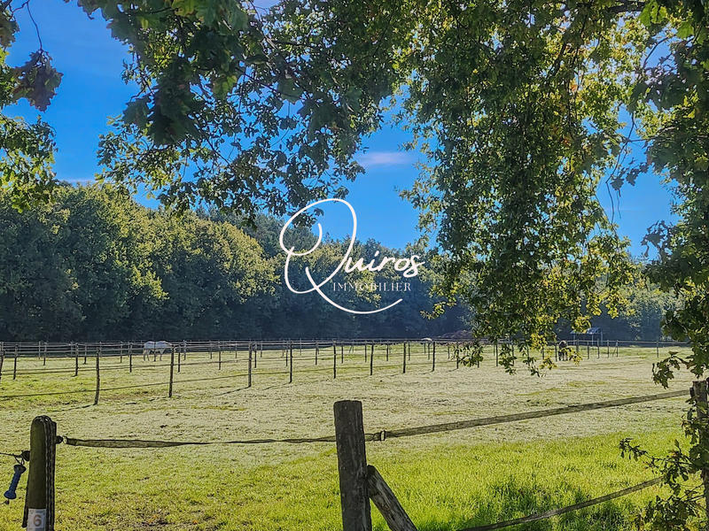 Maison - 300 m² - 10 pièces