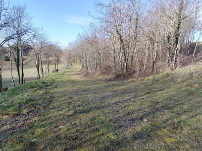 Terrain - 44 704 m²