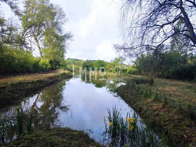 Terrain de loisirs - 9 800 m²