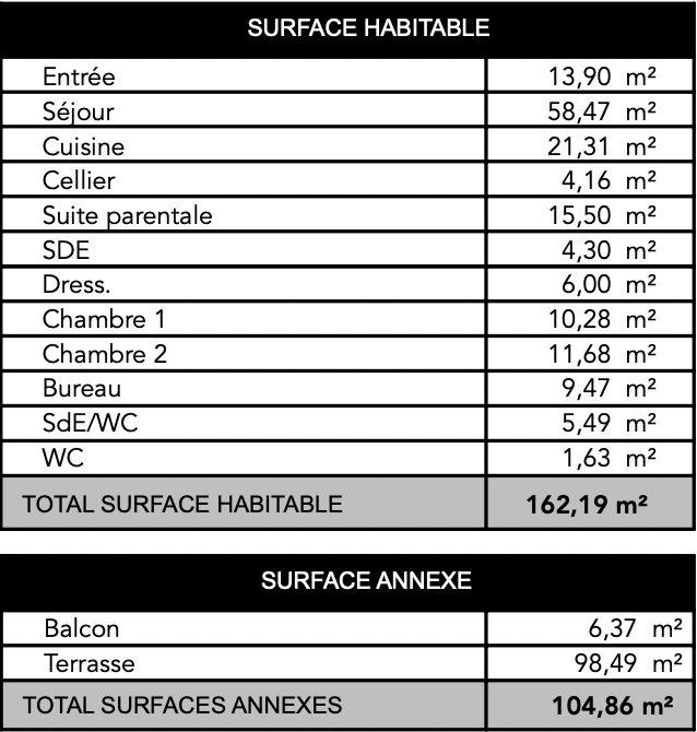 Appartement - 162 m² - 5 pièces