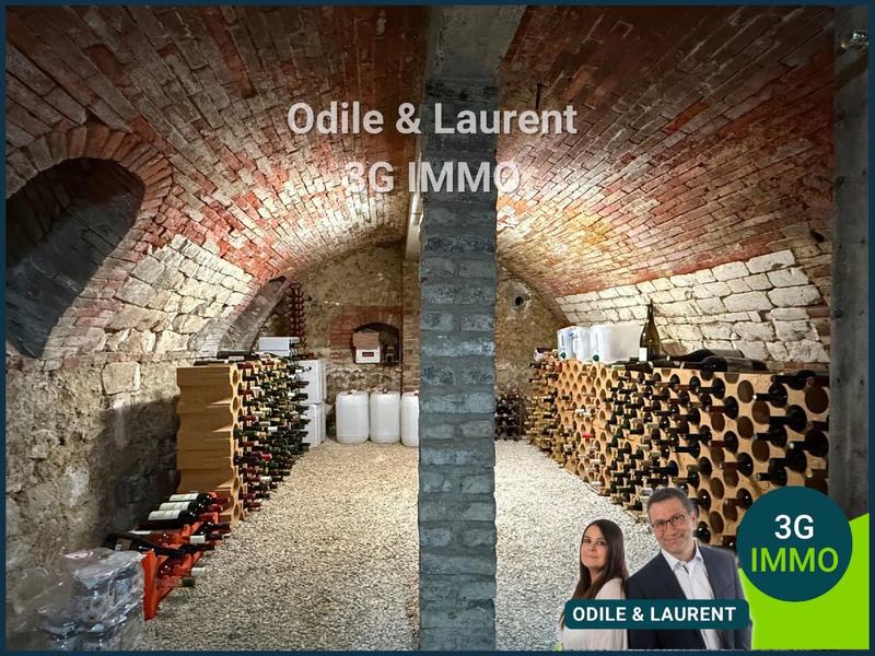 Maison ancienne - 222 m² - 9 pièces