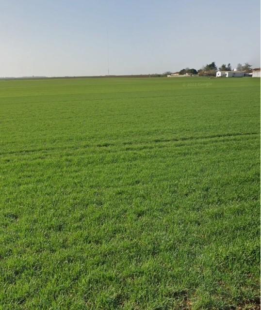 Terrain constructible - 312 m²