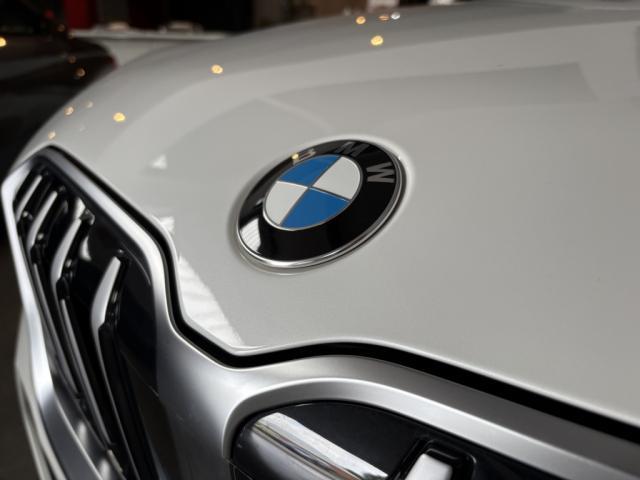 Bmw X1 U11 sDrive 20i 170ch Dkg7 m Sport